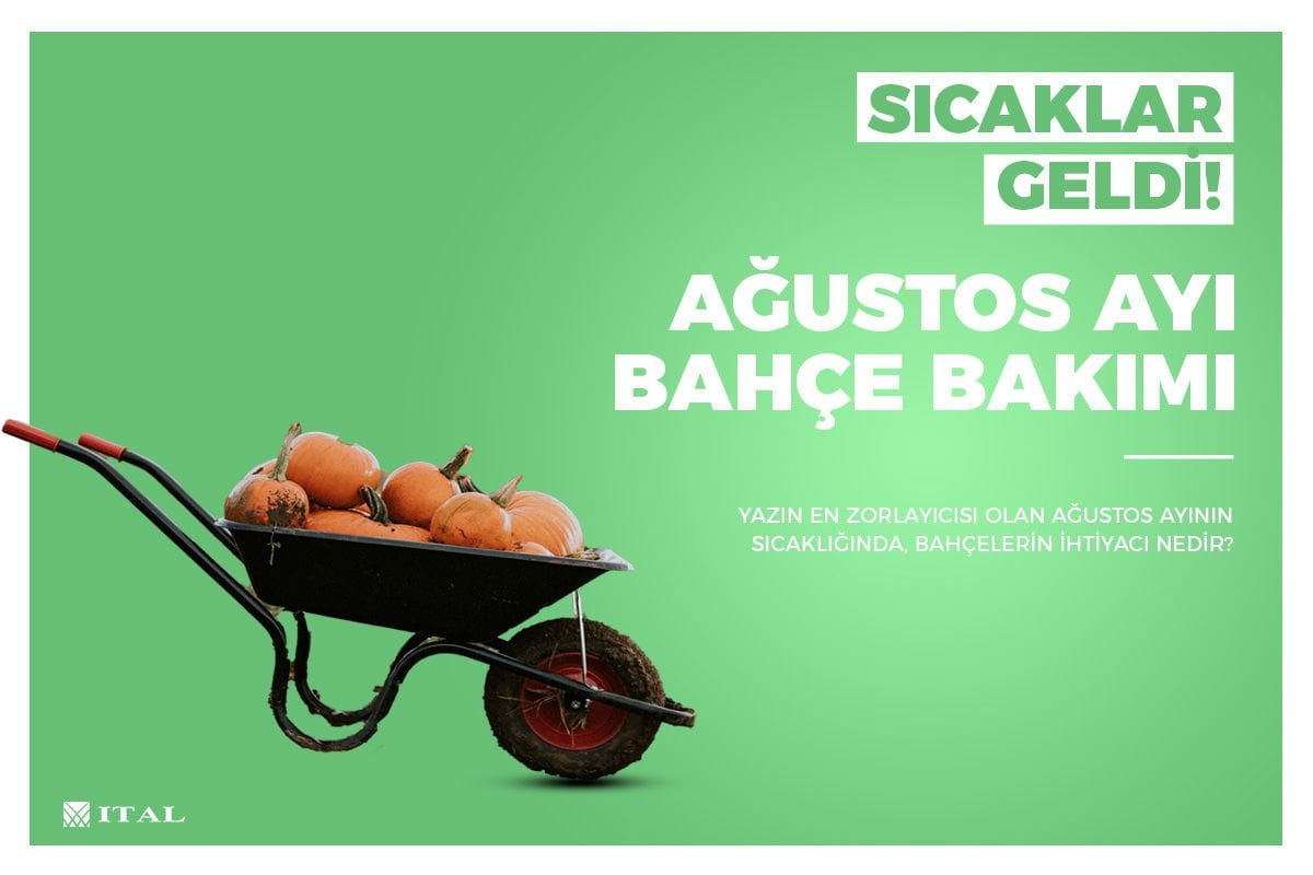 Ağustos Ayı Bahçe Bakımı